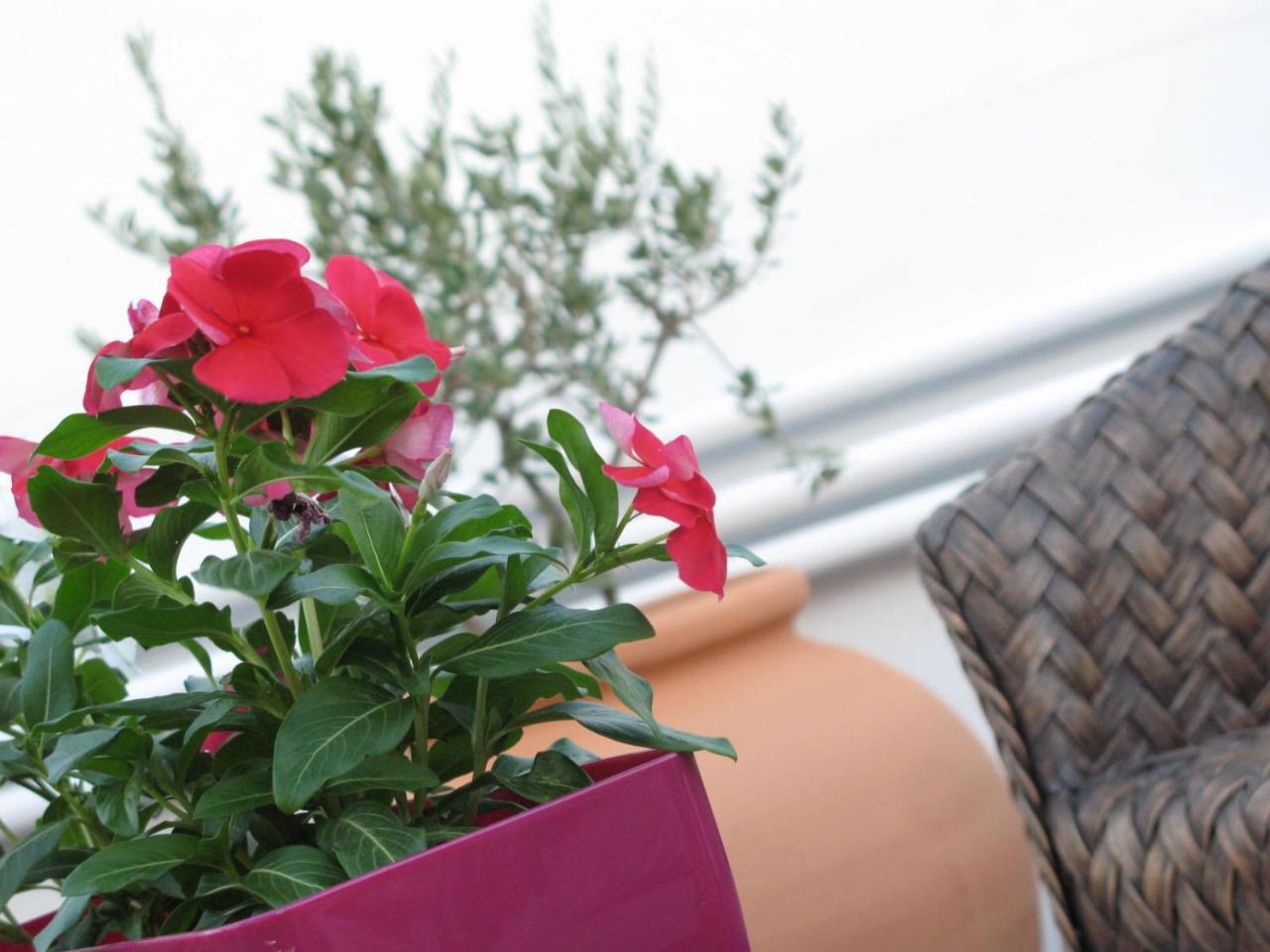 Mama Suite Lecce Exterior photo